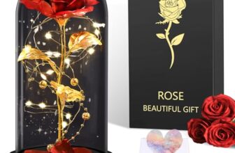 BOLEi Geschenke für Frauen,Ewige Rose im Glas mit LED(Klassisch Rot Rose)