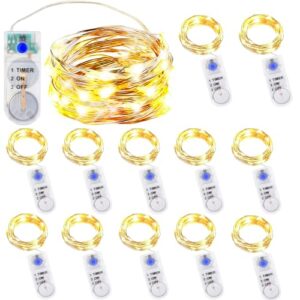 DALMALIN 12er-Pack Lichterketten mit Timer, Batterie Kupfer Drahtlichterkette 2M 20 LEDs Lichterketten Weihnachten Batteriebetrieben Wasserdichte Lichter Flasche,Innen, Außen,DIY Dekoration, Warmweiß