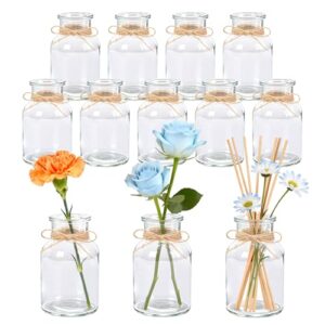 Der Rose 12 Stück 125ml Kleine Gasvasen für Hochzeit Tischdeko