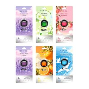 6PCS Car Lufterfrischer Frühlingserwachen je 4ml entfernt Gerüche im Auto
