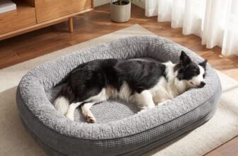 Pawk Orthopädisches Hundebett Mittelgroße Hunde, 89x63cm, Grau