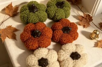 KDSya Herbst Dekorative Stoff Kürbis Set 6 Stück Weiche Plüsch Kürbisse für Herbstdeko, Thanksgiving, Halloween Tischdekoration und herbstliche Geschenke. (Teddyplüsch(6pcs))