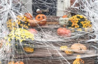 CNMTCCO Halloween Deko Spinnennetz Set, 100g mit 40 Künstlichen Spinnen