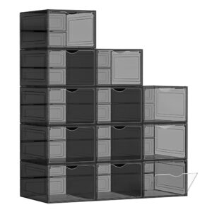Durchsichtige Schuh-Organizer mit Tür, Schwarz / 12