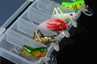 5 Stück Topwater Minnow Angeln Köder simulierte Heuschrecke mit Haken, Mini Cricket, Schreckenskunstköder für Oberwasser