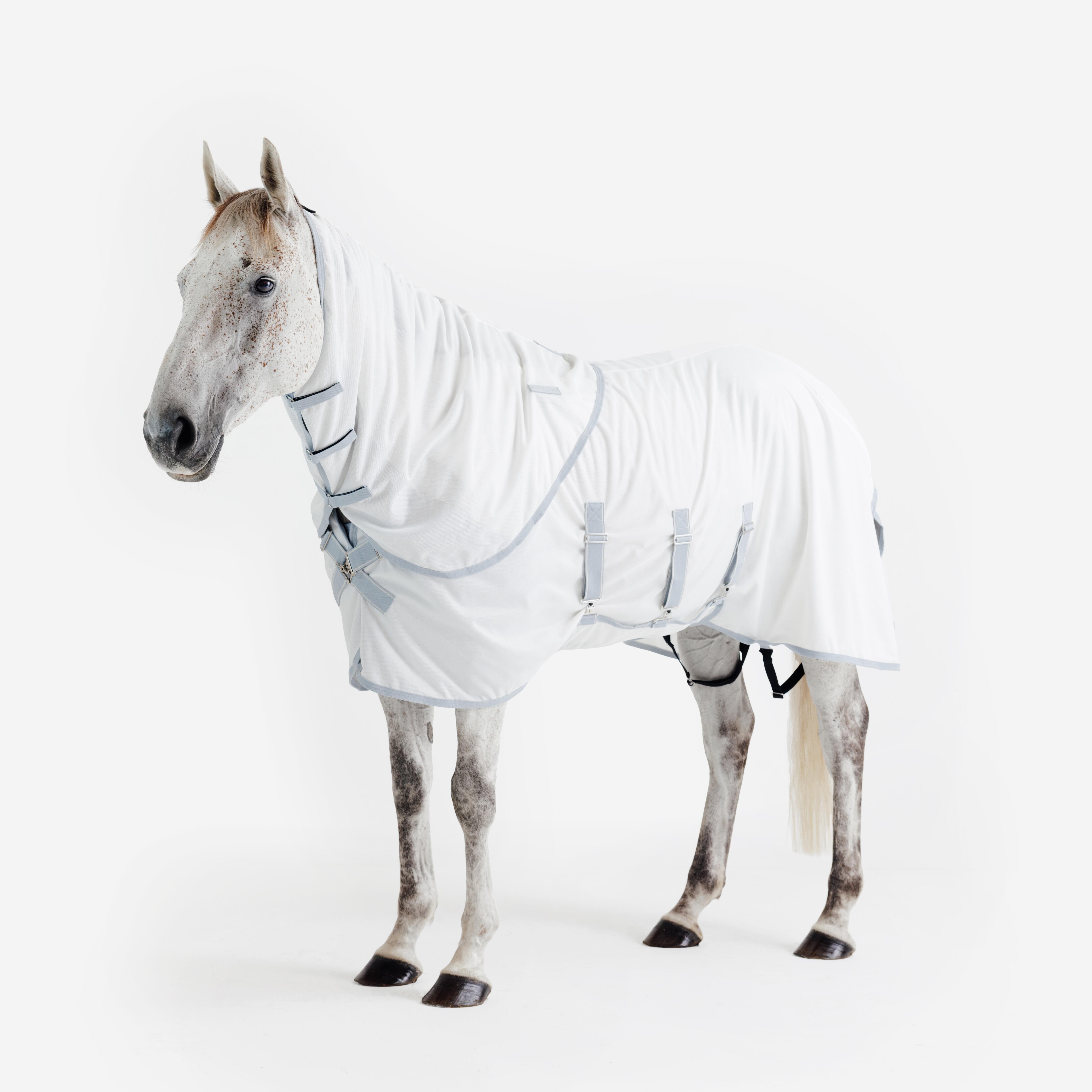 Fliegendecke 500 Insektenschutz Pferd/Pony beige