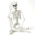 Halloween Deko Skelett mit Beweglichen Gelenken für Halloween Innen Outdoor Garten Haus Patio Dekorationen, Halloween Horror Dekoration Nicht Hinsehen Nicht Zuhören Nicht Sagen (3 Stück)