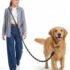 flexi Giant S/M Hunde Roll-Leine, 8m Gurt, schwarz/neon-gelb