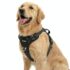 BEDSURE SupportMax™ extra Dickes ergonomisches Hundebett Grosse Hunde XL