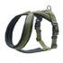 HUNTER Maldon UP Hundegeschirr