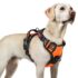 rabbitgoo Hundegeschirr Mittelgroße Hunde Anti Zug mit Griff, S, Schwarz
