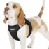 Vest Harness curli Clasp Air-Mesh Moss XS