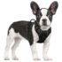 rabbitgoo Hundegeschirr Grosse Hunde Einfach Anlegen, L, Orange