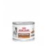 Royal Canin Veterinary Anallergenic für Katzen | 4 kg | Trockennahrung | Diät-Alleinfuttermittel für ausgewachsene Katzen | Stark hydrolysiertes Protein