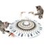 Speedy Panther 21 Stücke Katzenspielzeug Set Katzentunnel Interaktives Katzen Spielzeug für Kätzchen Federspielzeug Katzenbälle Spielzeugmäuse