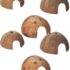 TRIXIE Junior Katzentoilette Kitty 27 x 9 x 37 cm – kompaktes Katzenklo mit niedrigem Rand für Kätzchen & Senioren-Katzen – 4042 (Packung mit 2)