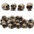 Ammonite Totenkopf Nachtlicht, Silikon Skelett Nachtlicht, 8 Farben & Einstellbares Warmes Licht, Touch Steuerung LED Nachttischlampe für Zuhause Halloween Deko, Geschenk zu Weihnachten for Boys Girls