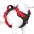 KSIIA Hundebett Grosse Hunde, Waschbar Hundekissen, 105x70cm Dunkelgrau