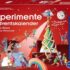 Ehrlich Brothers Adventskalender 2026 – Weihnachtskalender der Magie