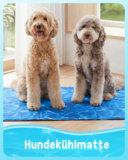 pecute Kühlmatte für Hunde