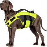 CITÉTOILE Hunde Schwimmweste mit Griff und Reflektierend